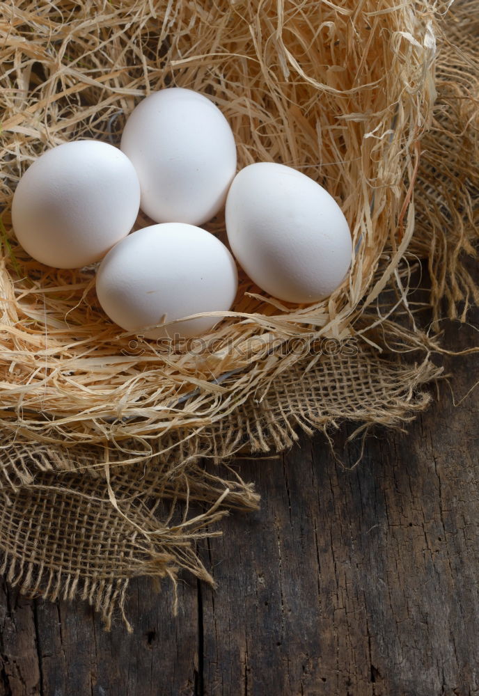 Similar – Image, Stock Photo Raw chicken eggs Eating