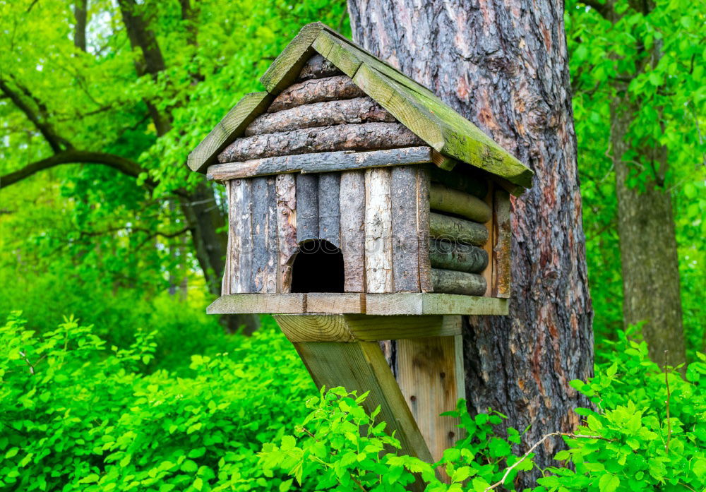 Similar – Image, Stock Photo Bird house on a tree among the green leaves