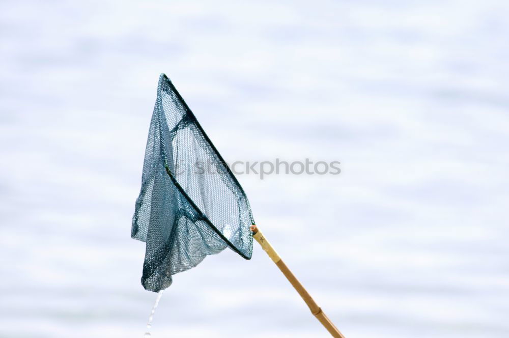 Similar – Flag day Flying the flag