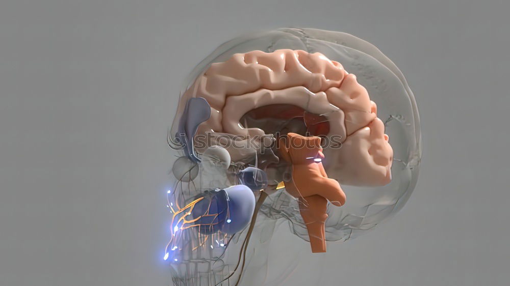 Similar – Image, Stock Photo brain