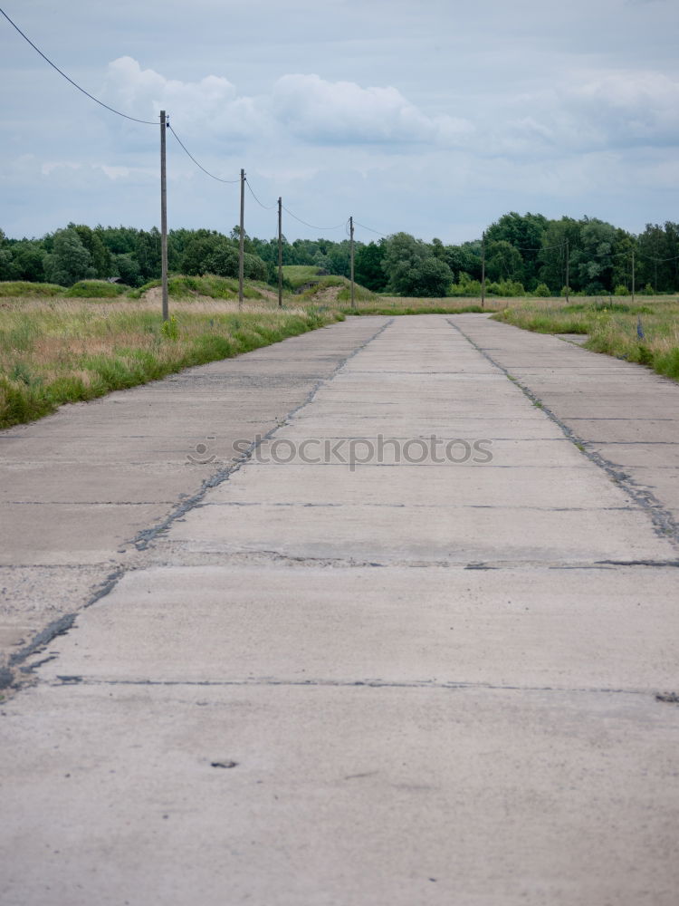 Similar – Image, Stock Photo Enough of the Maien rest