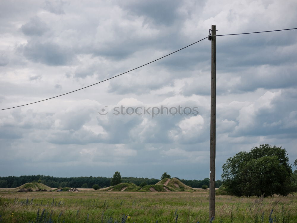 Similar – Foto Bild feld & flur Natur