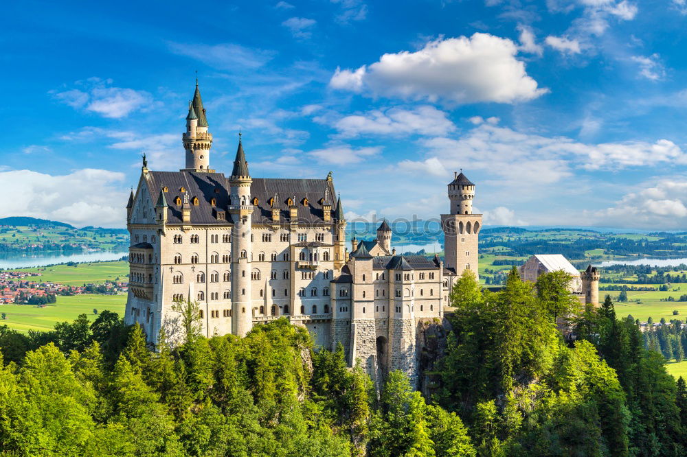 Dream Castle Neuschwanstein