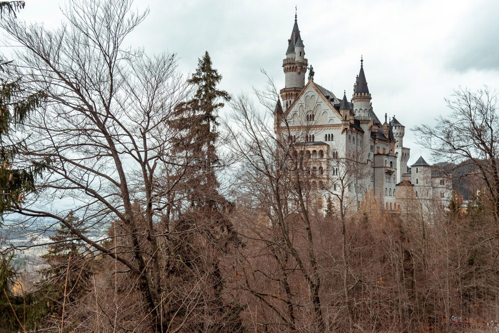 Similar – Neuschwanstein Castle