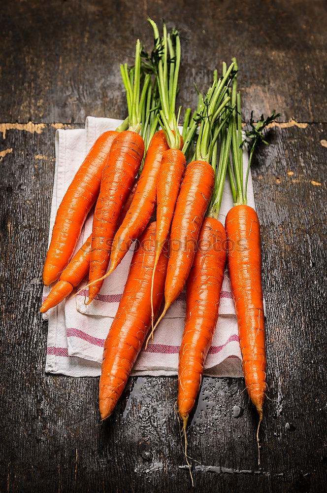 Similar – Two large ripe carrots lie in female hands