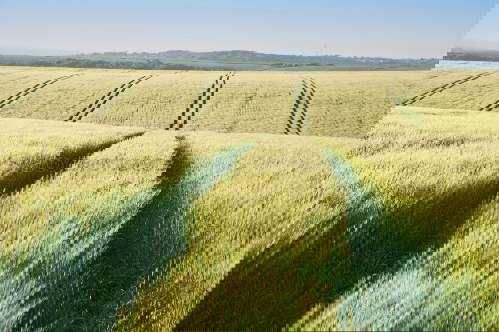Similar – Foto Bild …spuren hinterlassen