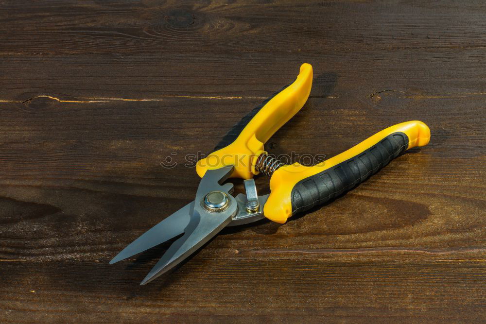 Similar – Image, Stock Photo Bite me! Two pincers with eyes on an old wooden table