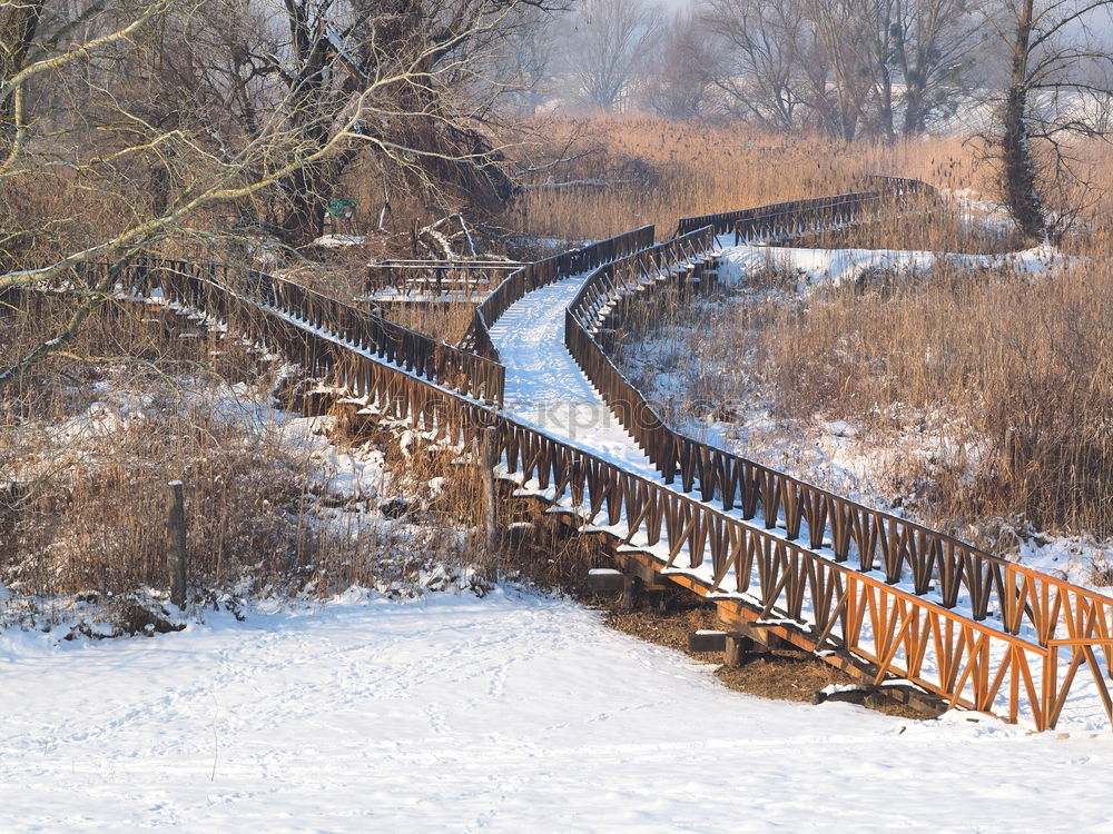 Similar – Foto Bild Berliner Winter