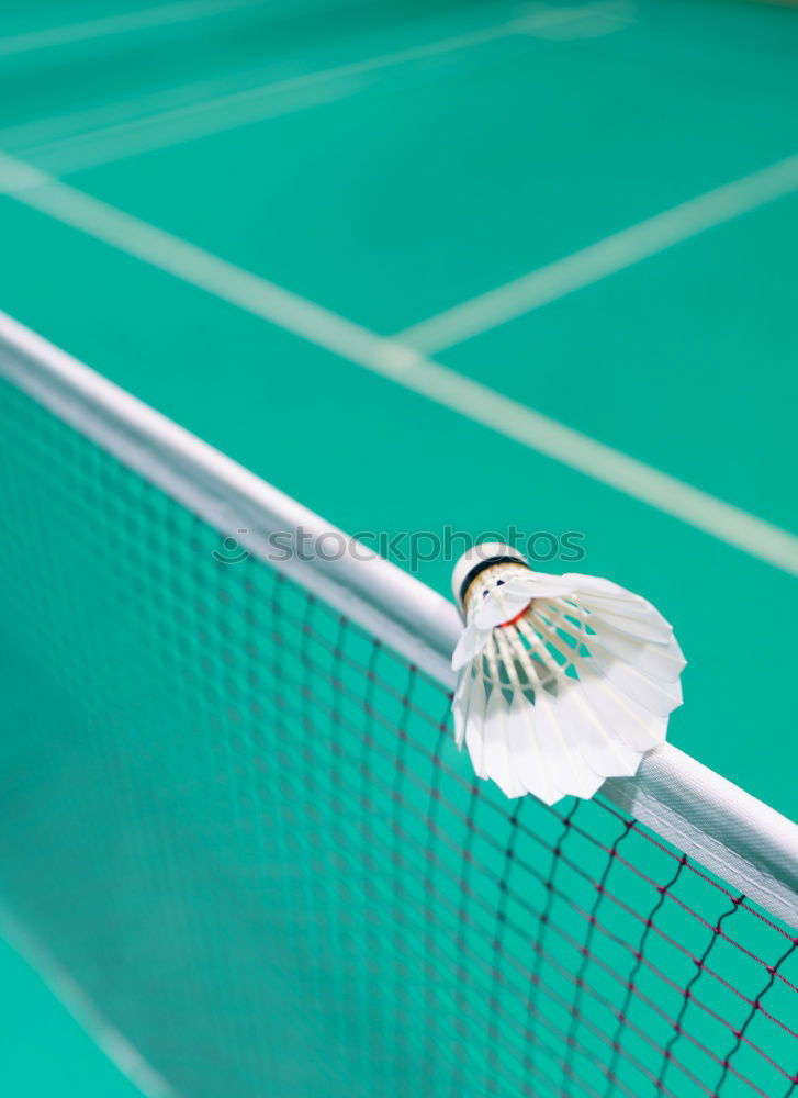 Similar – Image, Stock Photo Malheur on tennis court