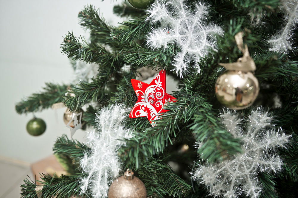 Similar – Image, Stock Photo Nostalgic Christmas decoration with delicate fir branches, red bauble and vases on an old table. Red christmas bauble hangs shiny on twigs. Glowing Christmas bauble hanging from branches in old white nostalgic porcelain pots at home.