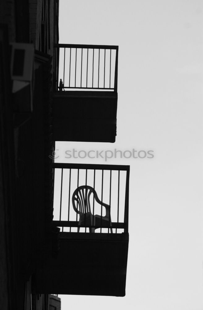 Image, Stock Photo headlock Flower