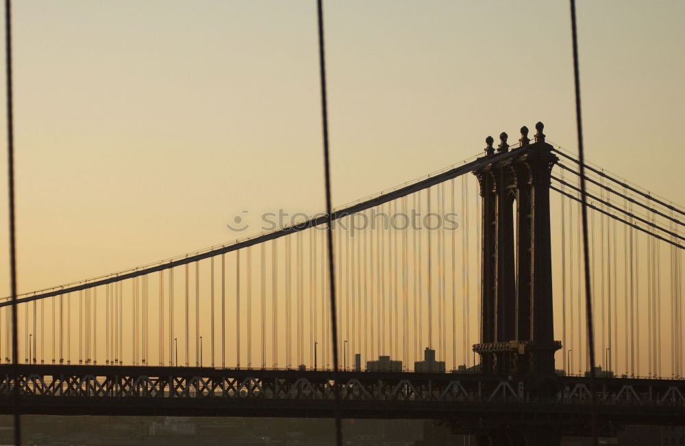 Laubbrücke Blatt Himmel