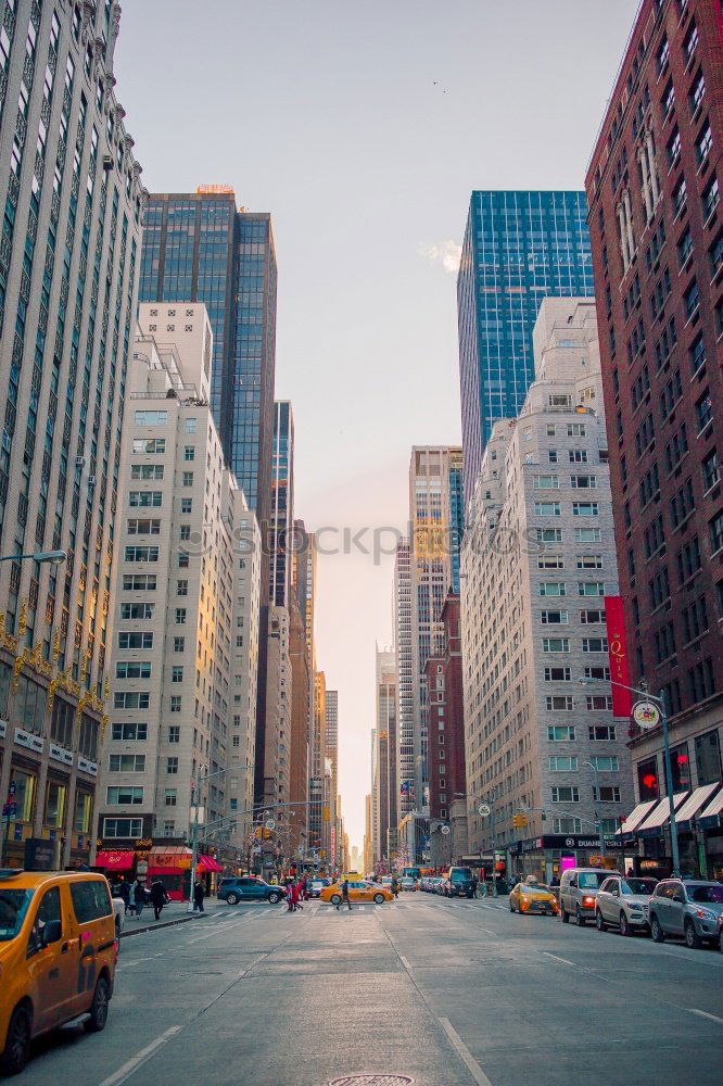 Image, Stock Photo Empty street with photographer