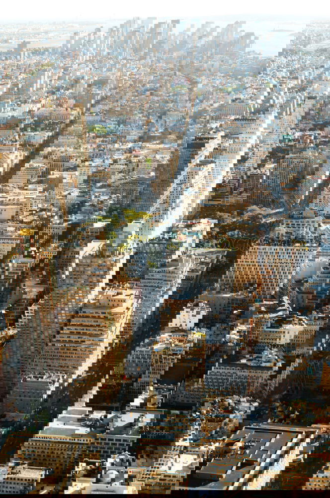 Similar – Image, Stock Photo Sea of houses.