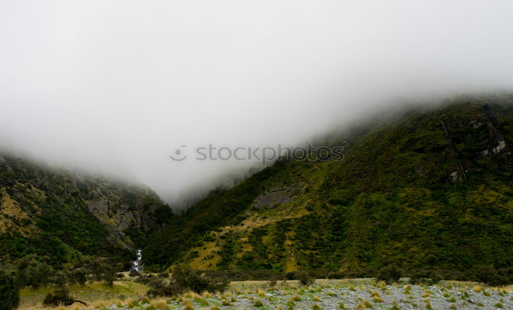 Image, Stock Photo Vineyards in autumn