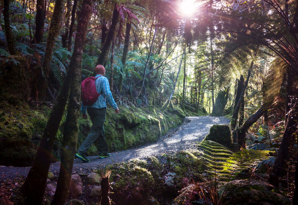 Similar – Image, Stock Photo Tom Sawyer and Huckleberry Finn