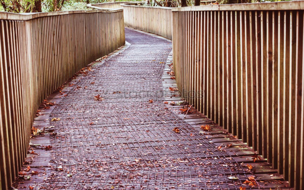 Similar – Foto Bild another bridge Sigmaringen