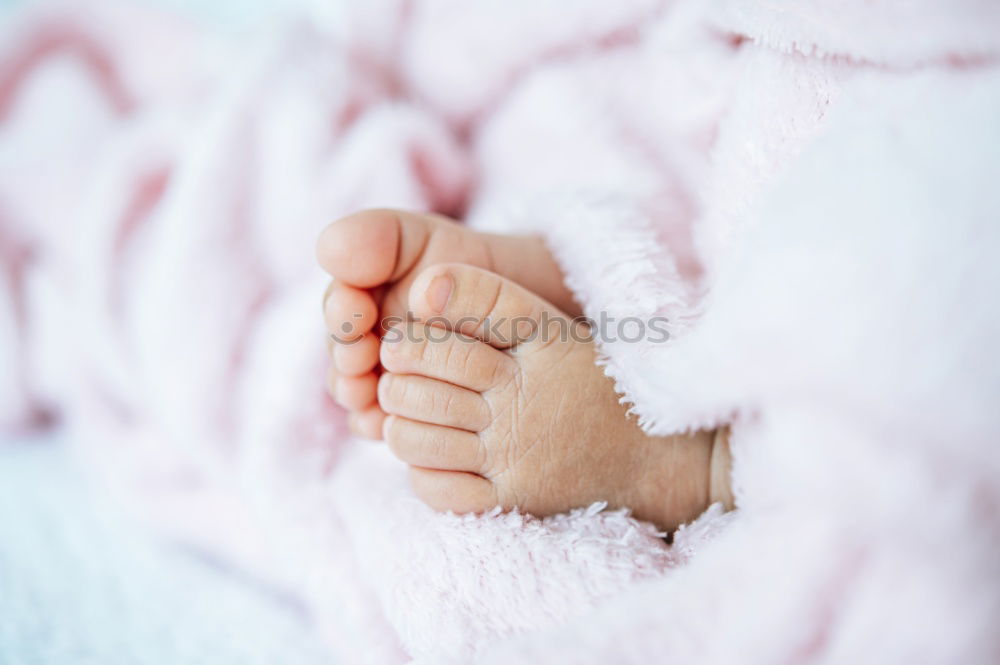 Similar – feet Human being Baby Girl