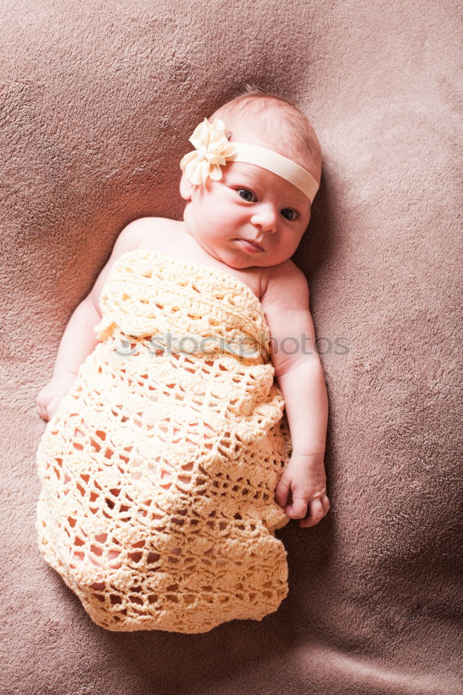 Similar – Image, Stock Photo Newborn baby resting lying above of travel suitcase