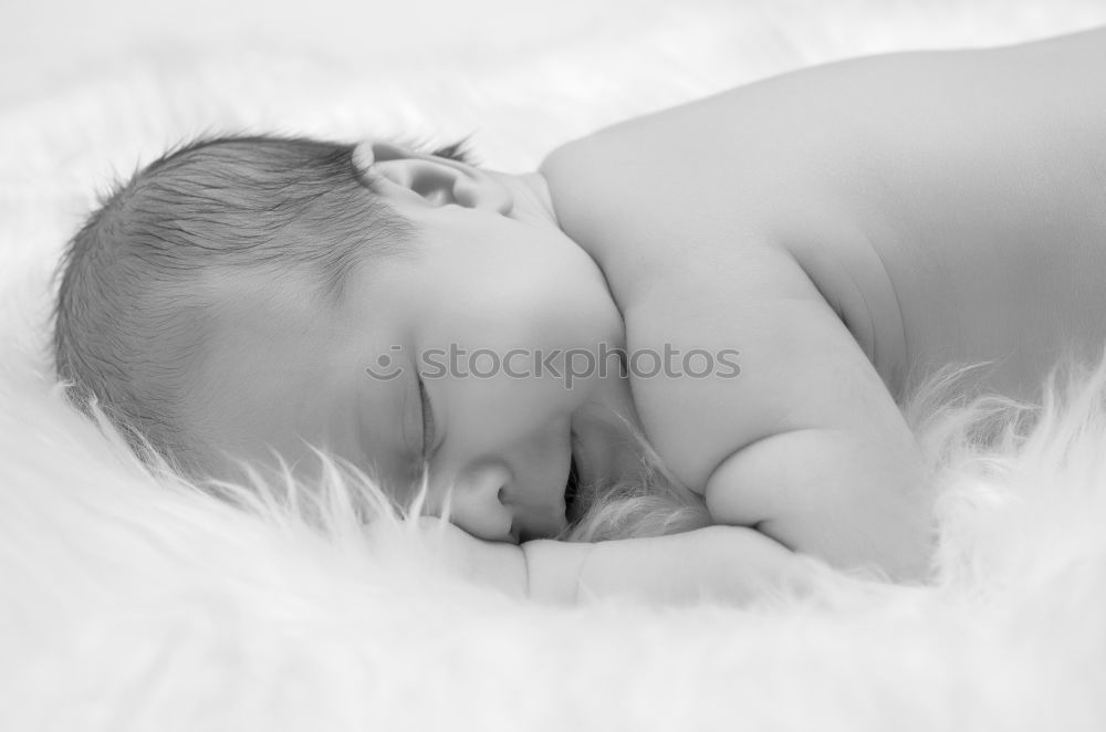 Similar – Image, Stock Photo Portrait of a newborn baby sleeping