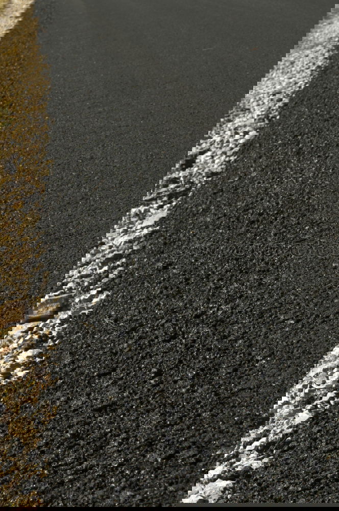 Similar – Foto Bild la chaman Verkehr Straße