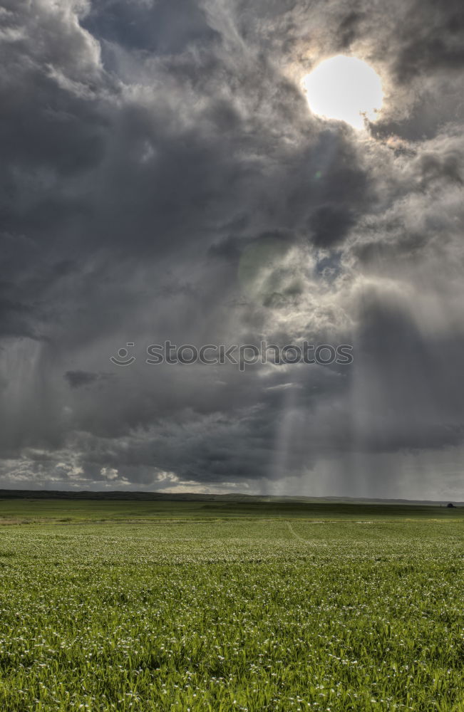 Similar – “Tornado” Clouds Gray Sky