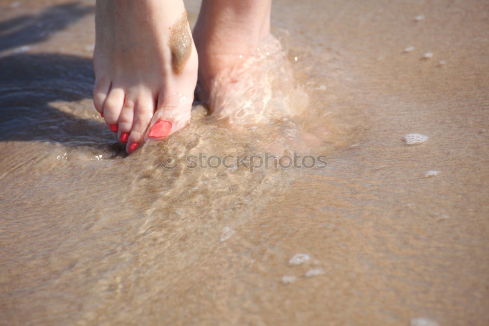 Similar – Starfish and feet on the beach