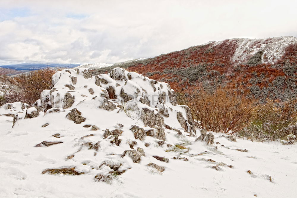 Similar – Image, Stock Photo Mudstones, Elbe Sandstone Mountains