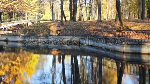 Similar – Image, Stock Photo Foliage cover II