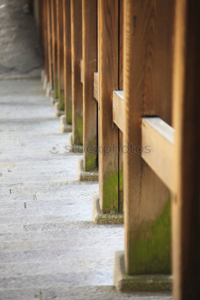 Similar – Image, Stock Photo at the wall on the Lauer (LT Ulm 14.11.10)