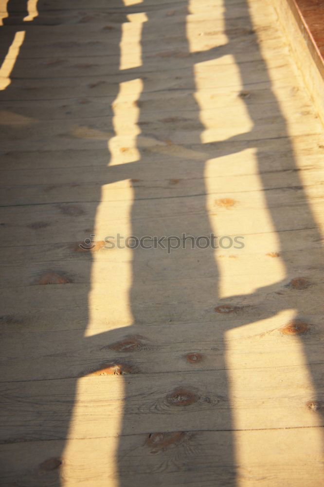 Similar – Image, Stock Photo shadow thrower Winter