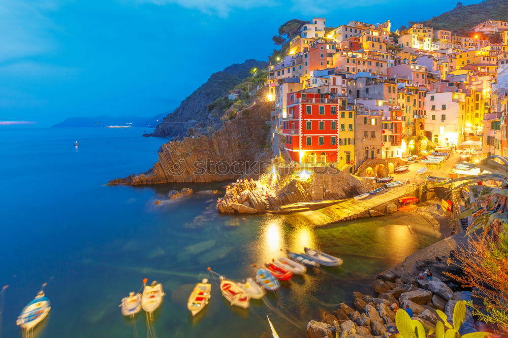 Similar – Image, Stock Photo Classic Manarola Nature