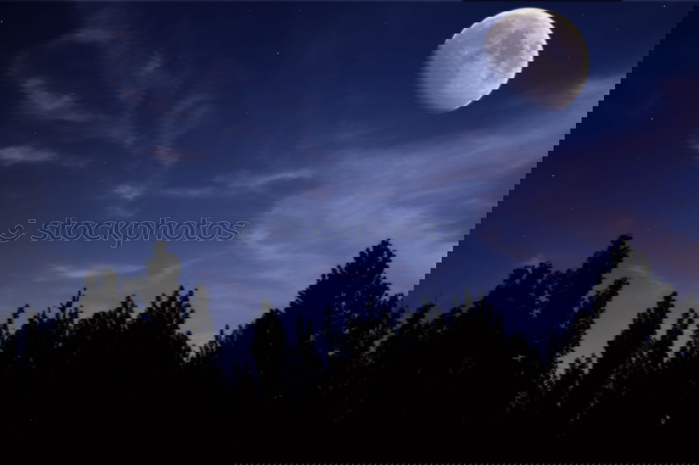 Similar – Image, Stock Photo How we made the moon