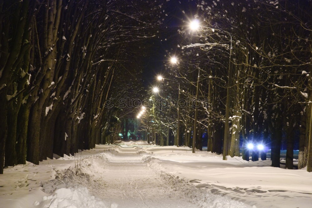 Foto Bild Verschneiter Morgen Nacht