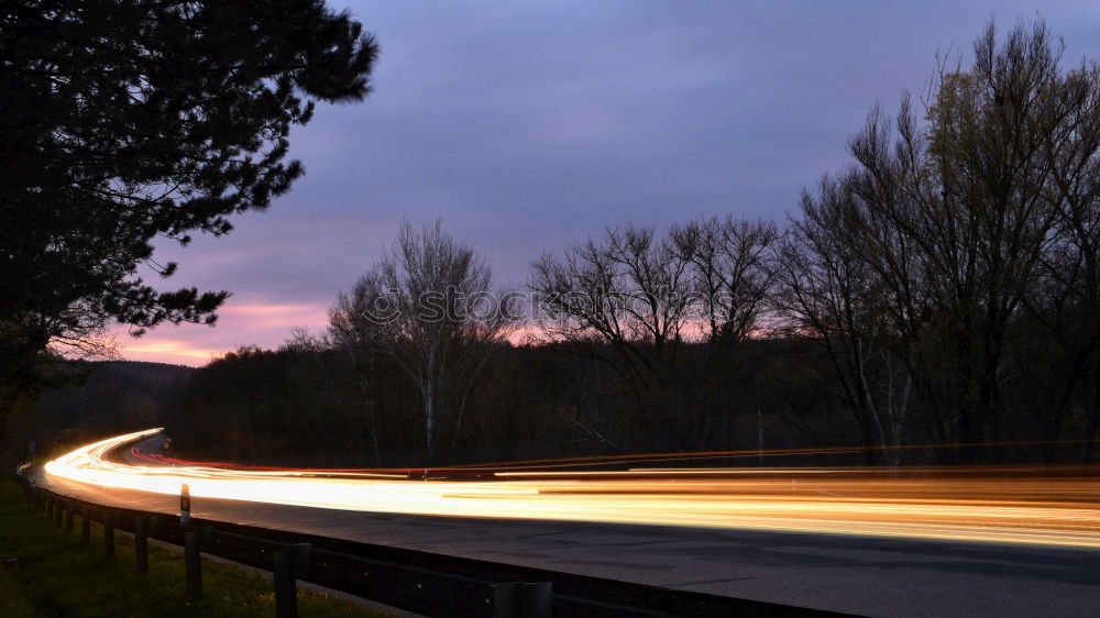 Similar – Image, Stock Photo glowing in the wind Garden