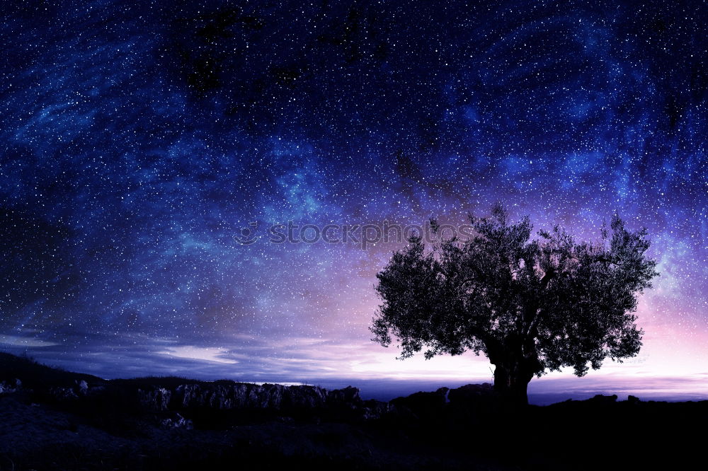 Similar – Lonely pear tree stands in the moonlight, covered with hoarfrost on a hill at the edge of the village