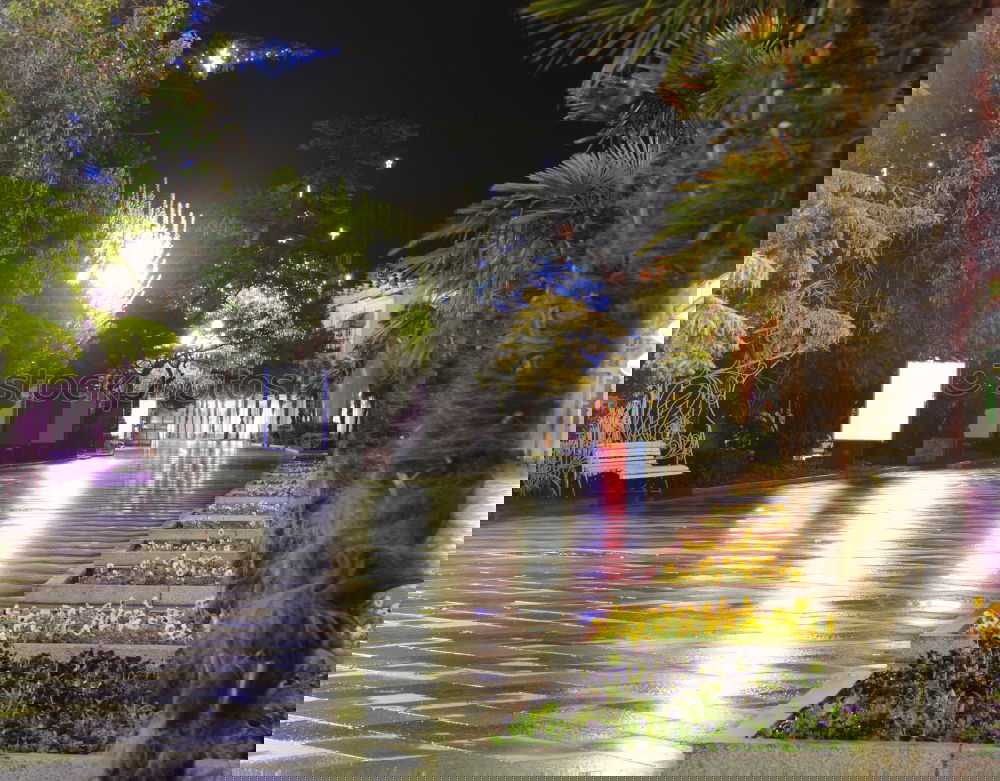 Similar – Image, Stock Photo street Night Long exposure