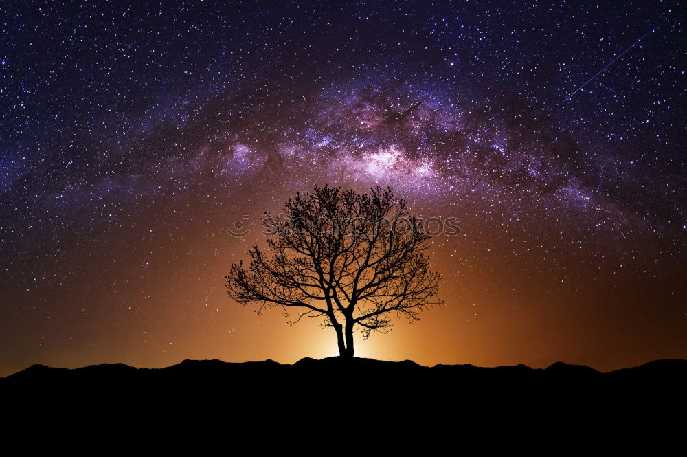 Similar – Image, Stock Photo cross Tree Night Dark