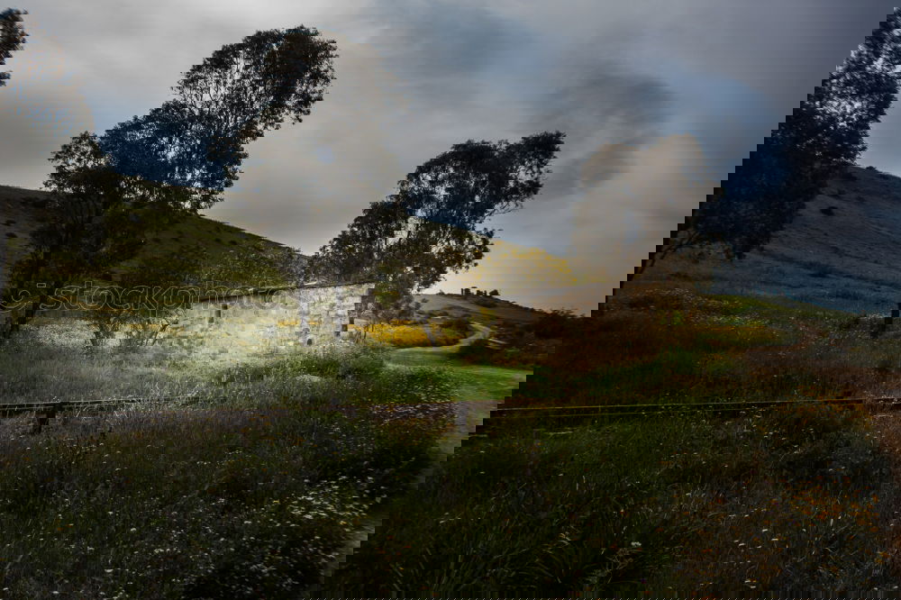 Similar – Foto Bild for sale Landschaft Himmel