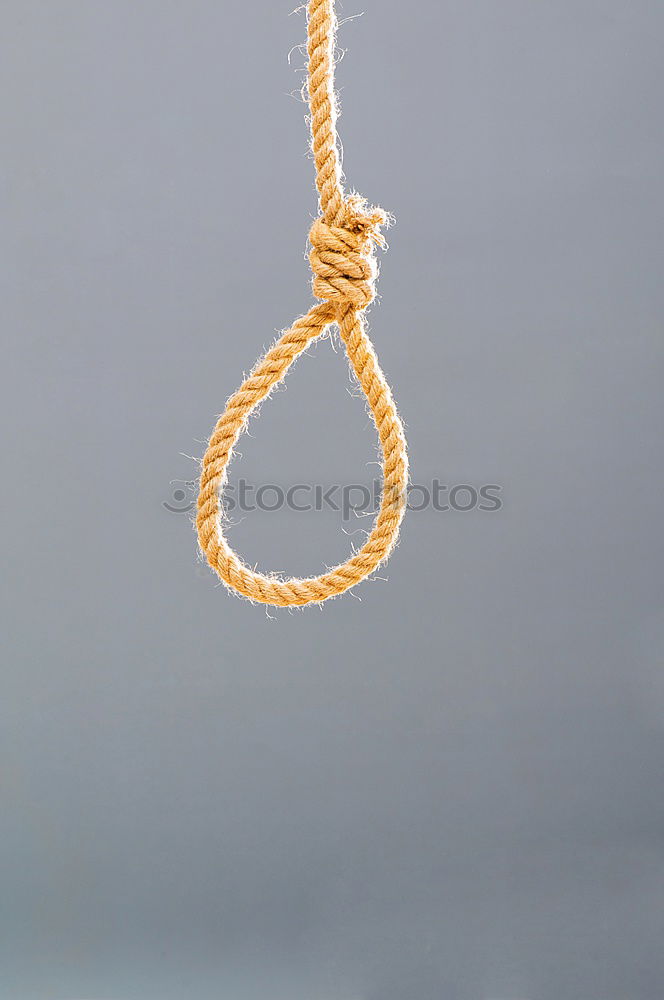 Similar – rope Rope noose Loop Tree