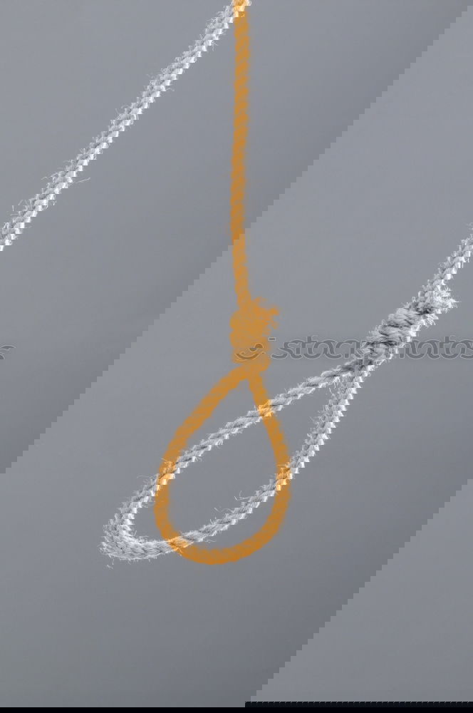 Similar – Foto Bild KNOTEN