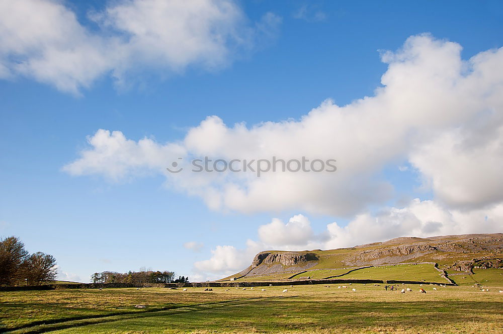 Similar – Rush hour in Schottland