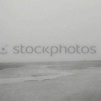 Foto Bild strandgang Strand Küste