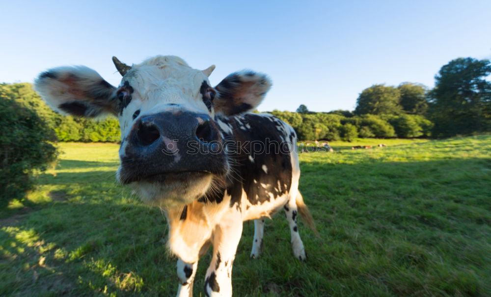 bite me… Agriculture