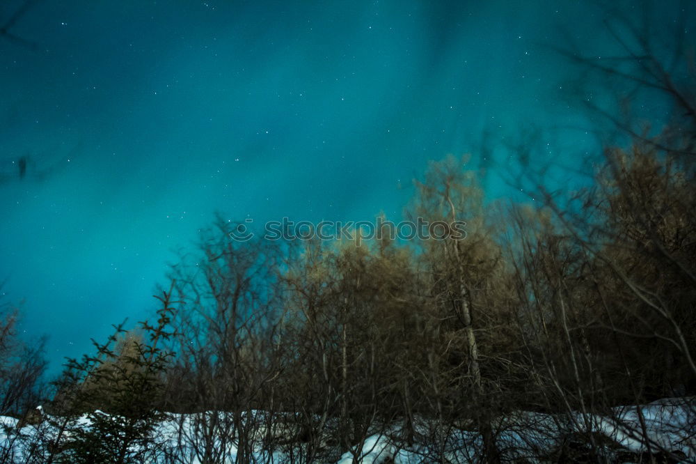 Image, Stock Photo Tent in winter forest