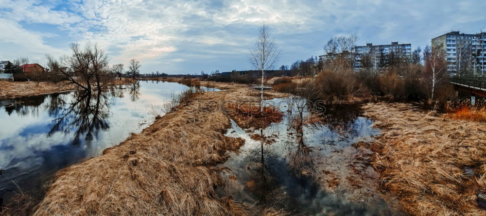 Similar – Elbe banks in Dresden