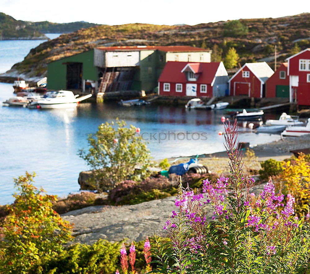 Similar – Small harbor with boats on archipelago island in Sweden