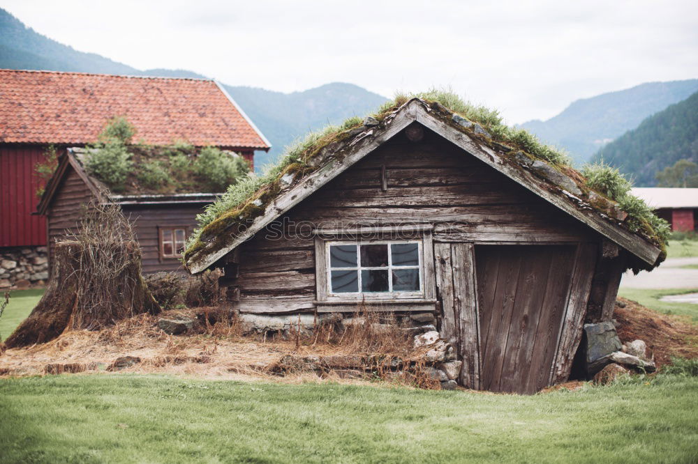 Similar – irritation Landscape Grass