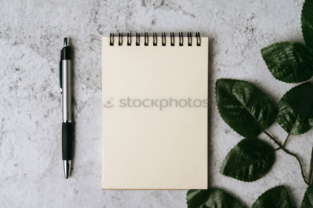 Similar – Image, Stock Photo White sheet of paper & the leaf of a monstera on pink background