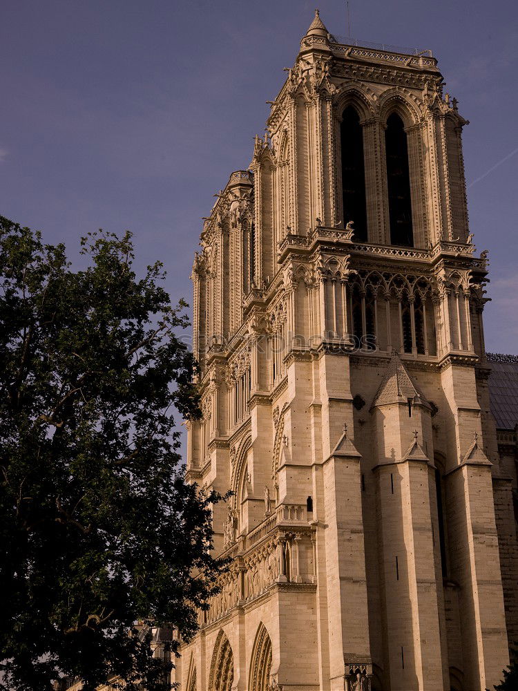 LochbildParis02 Notre-Dame